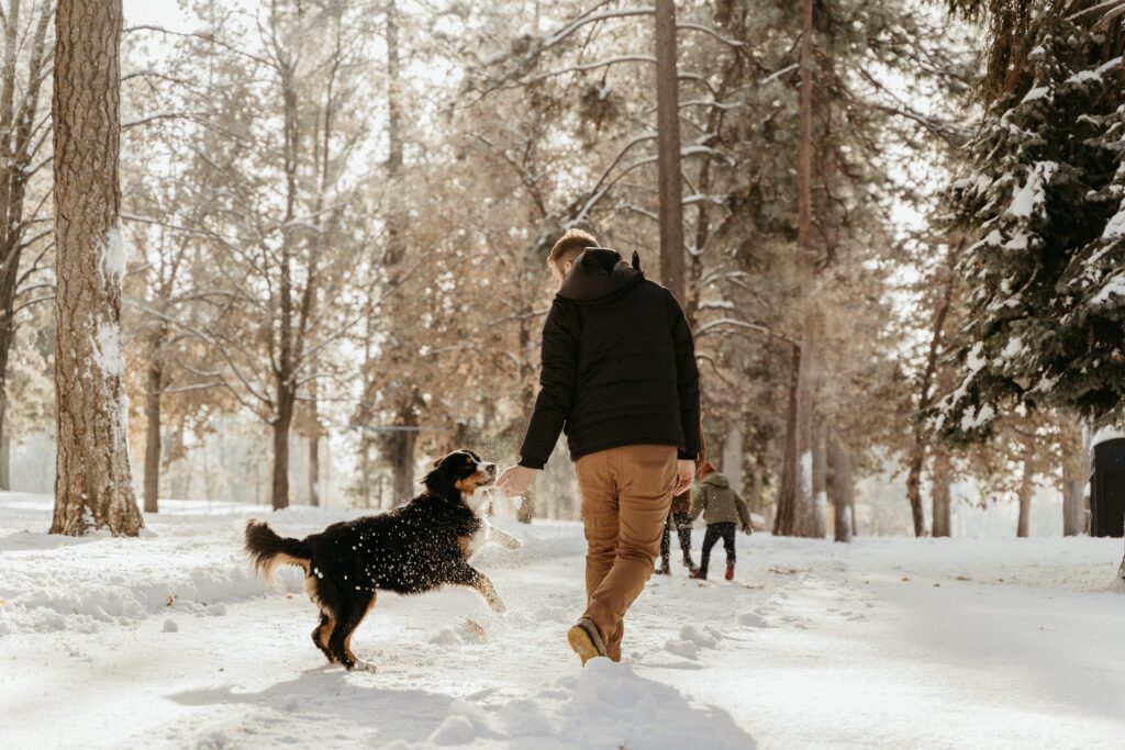 Dad and dog playing in snow photographed by Spokane family photographer
