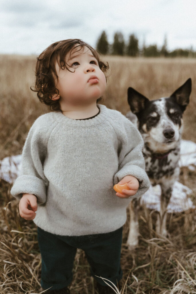 Little boy looking up the sky with his little buddy family dog in the backgound during this sweet Spokane family portrait with Sophie Grace Photography